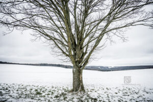 Amorbach - Out for a walk - Schindelbeck Fotografie