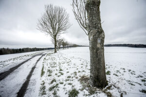 Amorbach - Out for a walk - Schindelbeck Fotografie