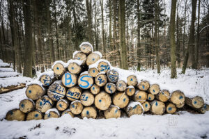 Amorbach - Out for a walk - Schindelbeck Fotografie