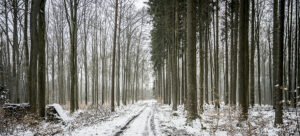 Amorbach - Out for a walk - Schindelbeck Fotografie