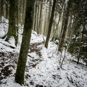 Amorbach - Out for a walk - Schindelbeck Fotografie