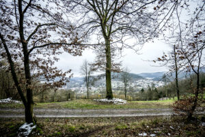 Amorbach - Out for a walk - Schindelbeck Fotografie