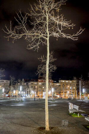 Mannheim am Abend - Photo: Schindelbeck
