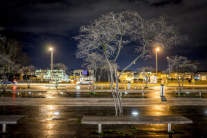 Mannheim am Abend - Photo: Schindelbeck