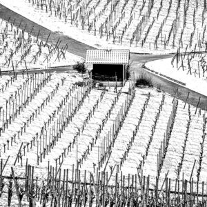 Weinberge im Schnee bei Erlenbach - Fotos Schindelbeck Fotografie