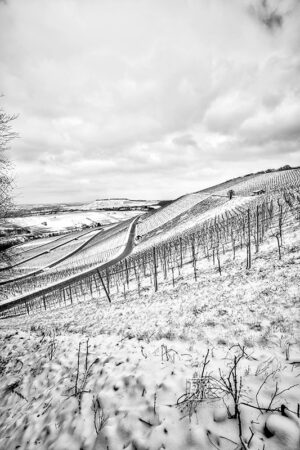 Weinberge im Schnee bei Erlenbach - Fotos Schindelbeck Fotografie