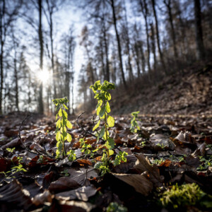 Out For A Walk - Landschaftsfotografie Frank Schindelbeck