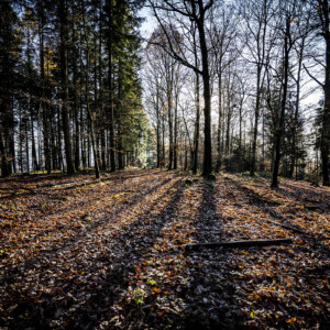 Out For A Walk - Landschaftsfotografie Frank Schindelbeck