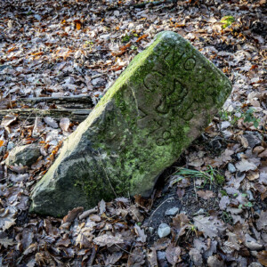 Out For A Walk - Landschaftsfotografie Frank Schindelbeck