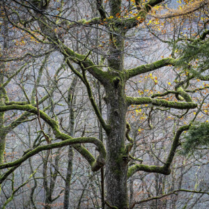 Out For A Walk - Landschaftsfotografie Frank Schindelbeck