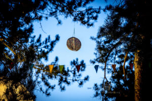 Stoppok - Photo: Schindelbeck